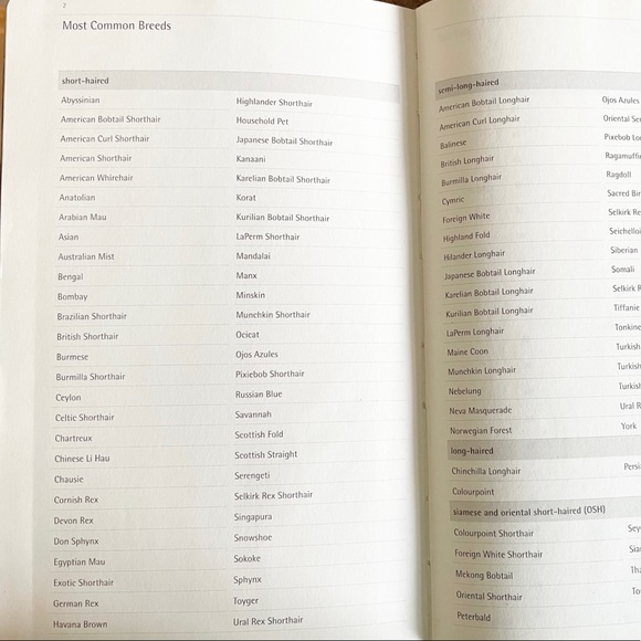 NEW Moleskine Journal For Kittens Cats Schedule Notebook Journal - Picture 6 of 6